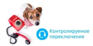 Контролируемое переключение