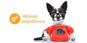 Чёрная коробочка
